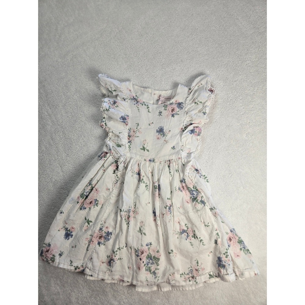 Catherine Malandrino Girls 4T Floral Swiss Dot Ruffle Dress White Pink Blue Rose